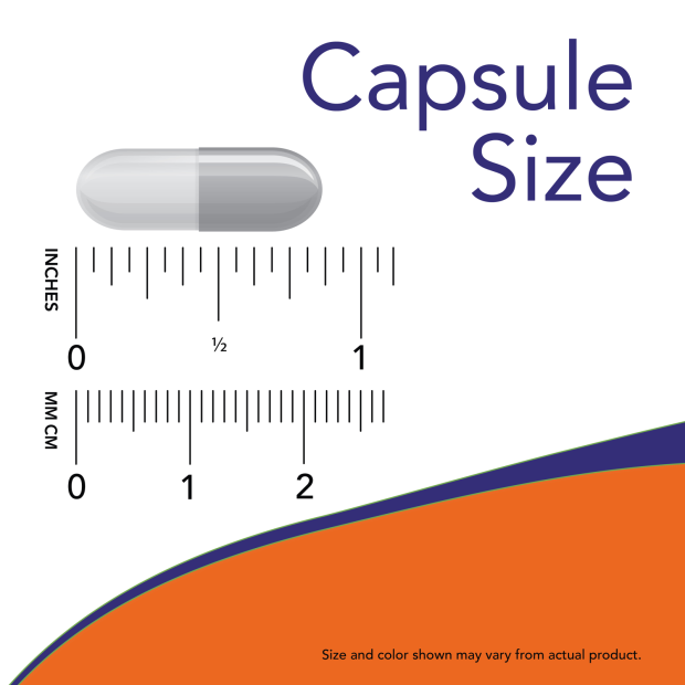3040_capsule_size